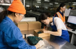 QC and Shipping Stage