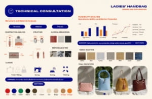 Inquiry and Design Stage